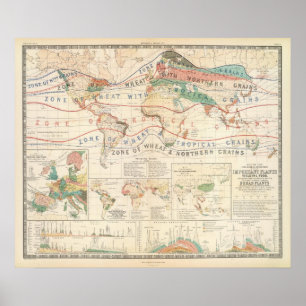 Póster Plantas de la distribución