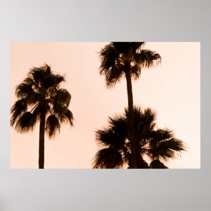 PÓSTER PLANTAS DE PALMERAS DE FOTOGRAFÍA DE BAJO ÁNGULO