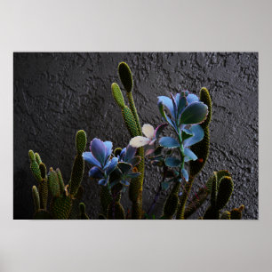 Póster Plantas del desierto