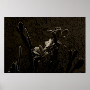 Póster Plantas del desierto