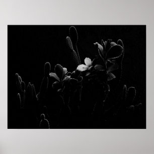 Póster Plantas del desierto en blanco y negro