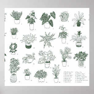 Póster Plantas interiores: conjunto pintado a mano.