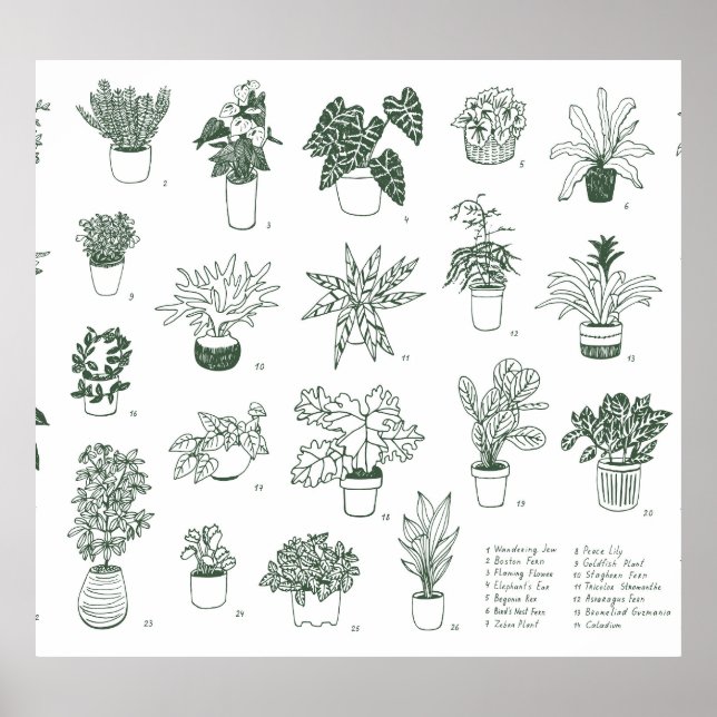 Póster Plantas interiores: conjunto pintado a mano. (Frente)