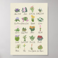 Plantas interiores + nombres de planta de jardiner