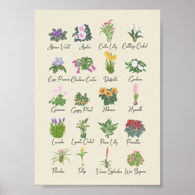 Póster Plantas interiores + nombres de planta de jardiner (Frente)