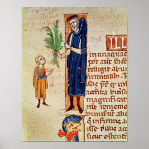 Póster Plantas medicinales