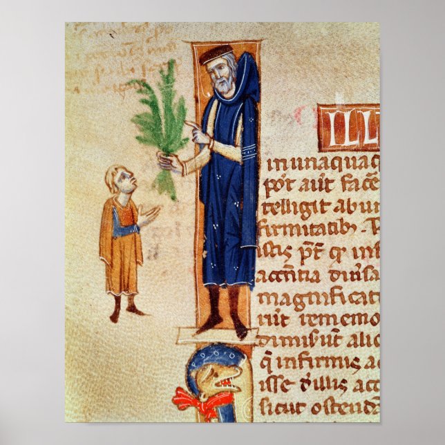 Póster Plantas medicinales (Frente)