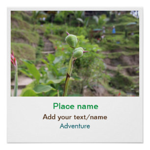 Póster Plantas naturales fotografía nombre de viaje en ag