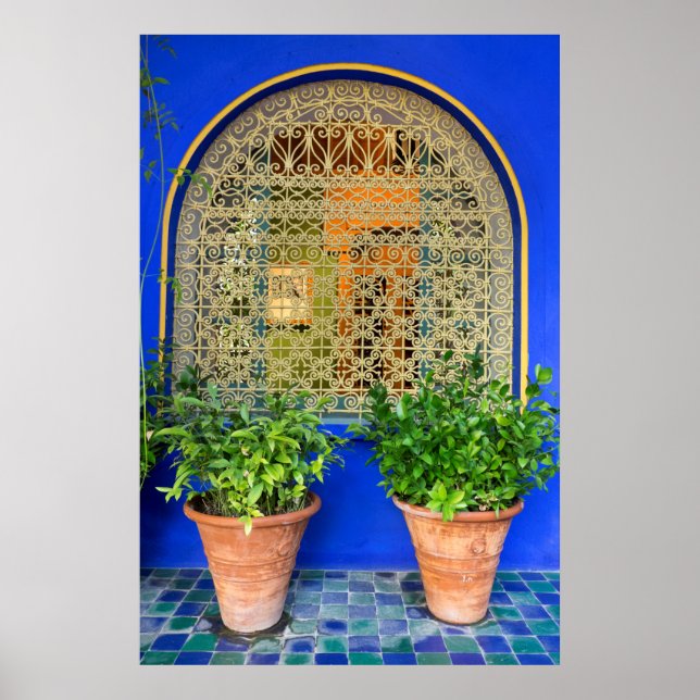 Póster Plantas Potentes En El Jardín (Frente)