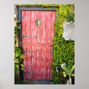 Póster Plantas rosadas Puertas de madera St Augustine Flo