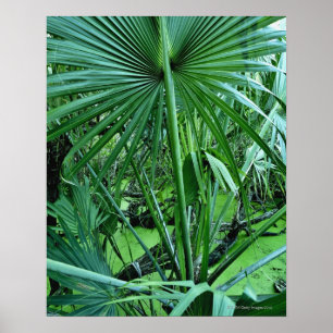 Póster Plantas tropicales en estanque de sal
