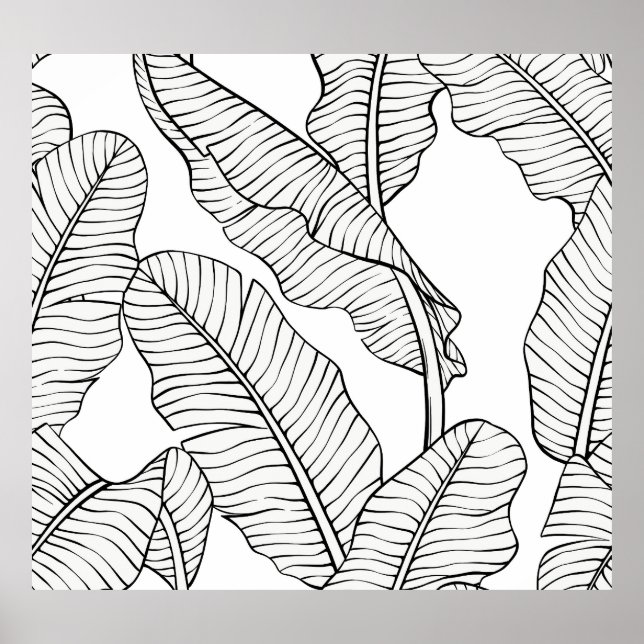 Póster Plantas tropicales, flores, boceto de la jungla. (Frente)