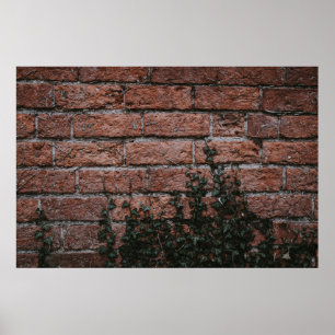 Póster Plantas verdes cerca de la pared de ladrillos