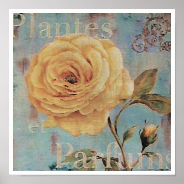 Póster Plantes ~ Imprimir / Poster (Frente)