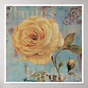 Póster Plantes ~ Imprimir / Poster