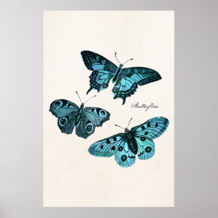 Póster Plantilla azul verde azulada del ilustracion de la