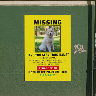 Póster Plantilla de Alerta de Mascota Perro Desaparecido 