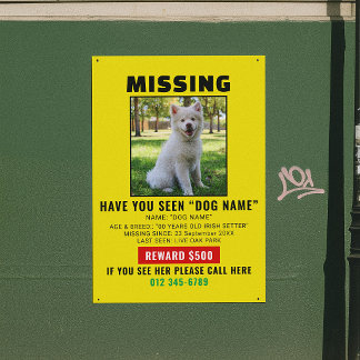 Póster Plantilla de Alerta de Mascota Perro Desaparecido