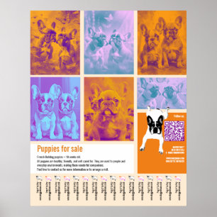 Póster Plantilla de cartel de cachorros en venta con códi