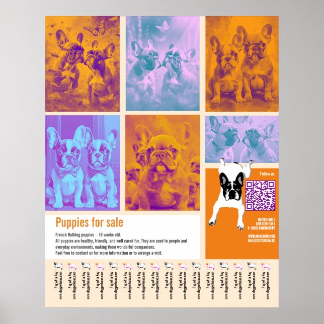 Póster Plantilla de cartel de cachorros en venta con códi (Frente)