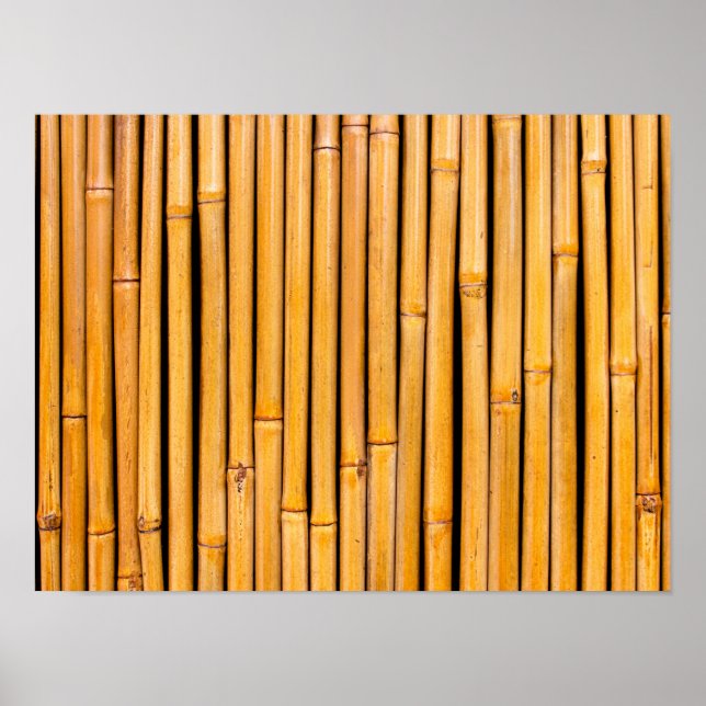 Póster Plantilla de fondo de bambú tropical hawaiano (Frente)