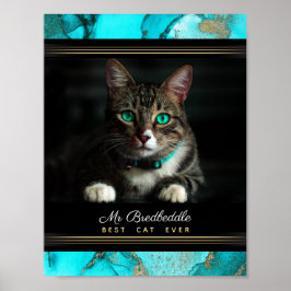 Póster Plantilla de foto de gato mejor nombrada jamás en