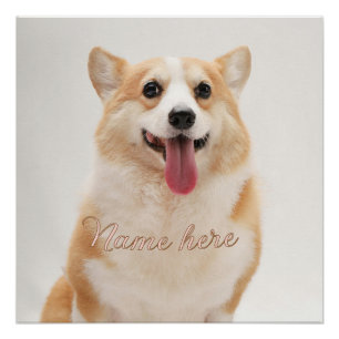 Póster Plantilla de foto de nombre de mascota simple mini