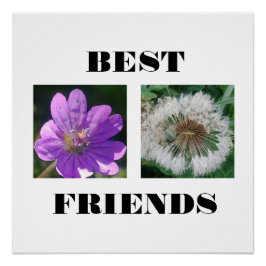 Póster Plantilla de imagen de los mejores amigos