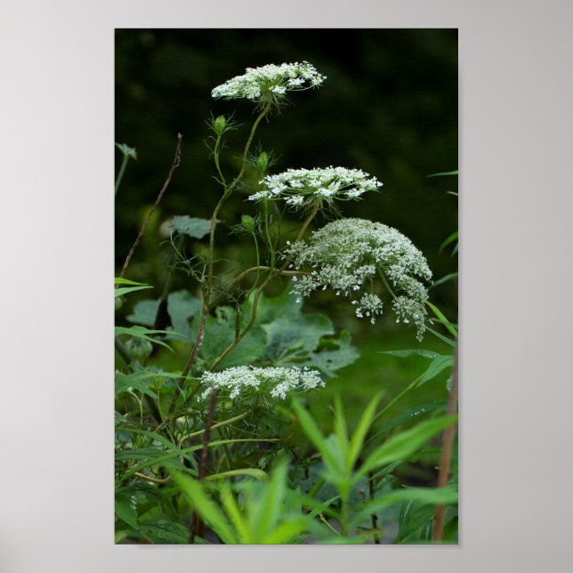 Póster plantilla de poster (Frente)