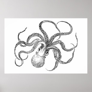 Póster Plantilla de pulpo vintage