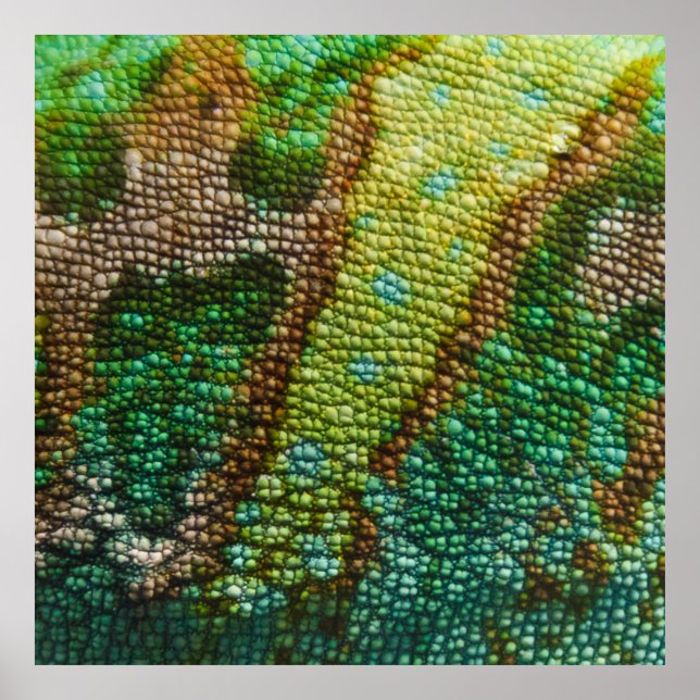 Póster Plantilla de textura de piel de camaleón (Frente)