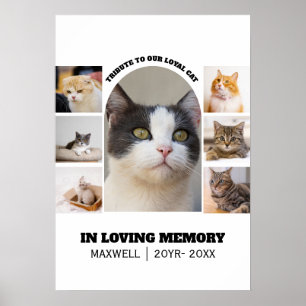 Póster Plantilla de tributo para gatos memorial 7 collage