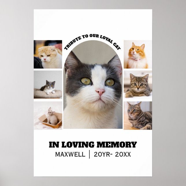 Póster Plantilla de tributo para gatos memorial 7 collage (Frente)