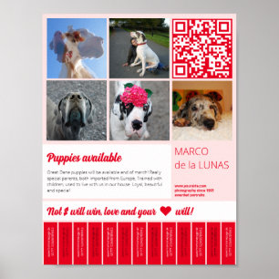 Póster Plantilla de volante de cachorros imprimibles para