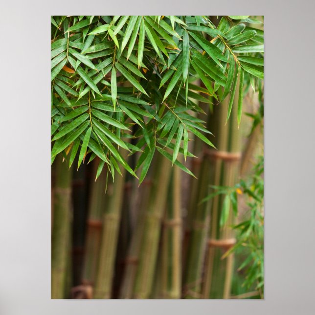 Póster Plantilla personalizada de fondo natural de Bambú  (Frente)