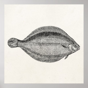 Póster Plantilla personalizada de pescadero de polo vinta