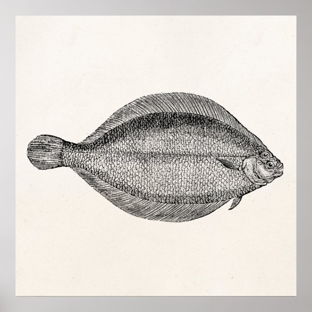 Póster Plantilla personalizada de pescadero de polo vinta (Frente)