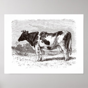 Póster Plantilla retra de las vacas de la vaca holandesa