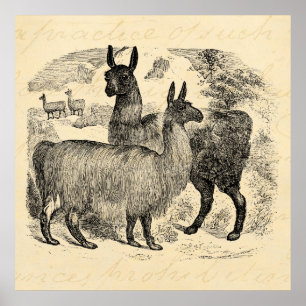 Póster Plantilla rosada retra de las llamas de la llama
