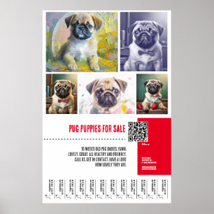 Póster plantillas de carteles de venta de cachorros Pug