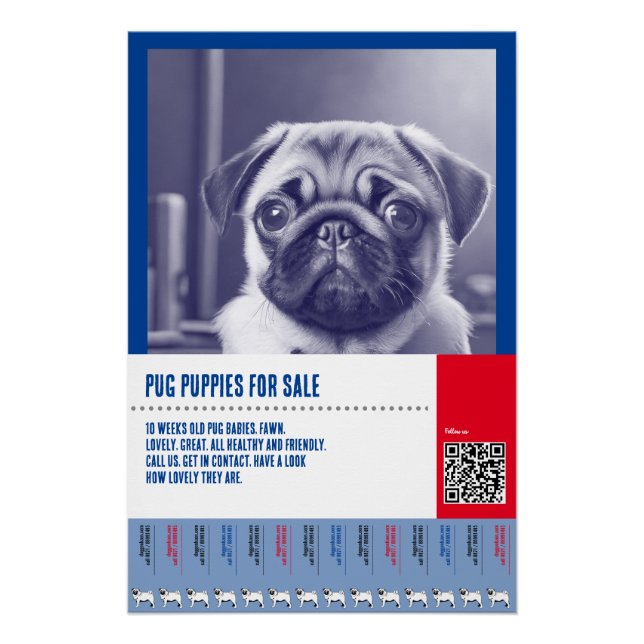 Póster plantillas de folletos de venta de cachorros Pug (Anverso)