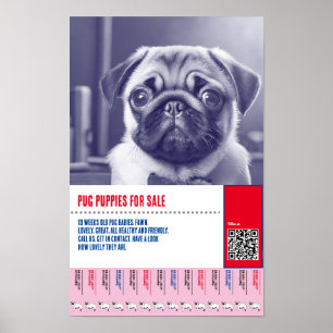 Póster plantillas de folletos de venta de cachorros Pug