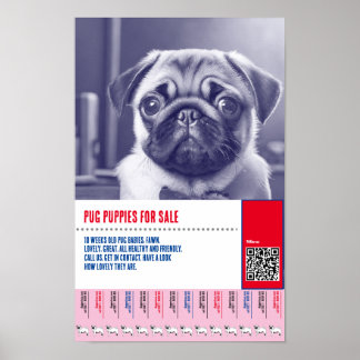 Póster plantillas de folletos para la venta de cachorros 