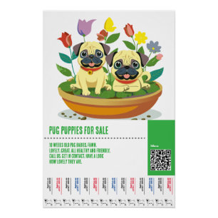 Póster plantillas de folletos para la venta de cachorros