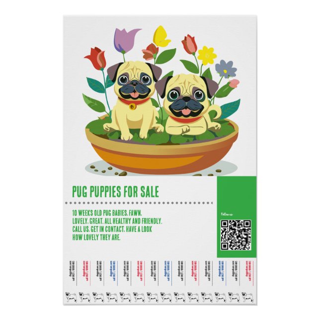 Póster plantillas de folletos para la venta de cachorros  (Anverso)