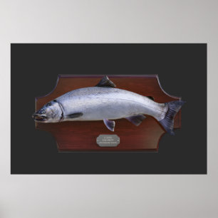 Póster Plaque de la pantalla de Trofeo Coho Salmon