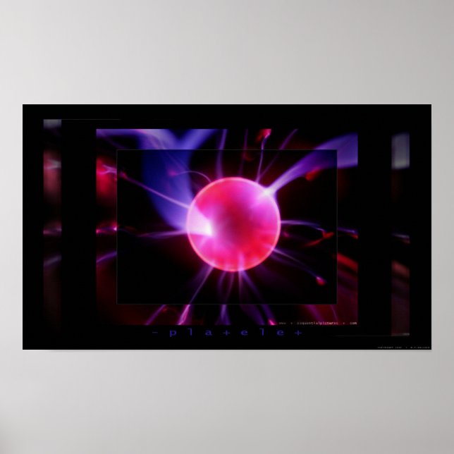 Póster Plaqueta (Frente)