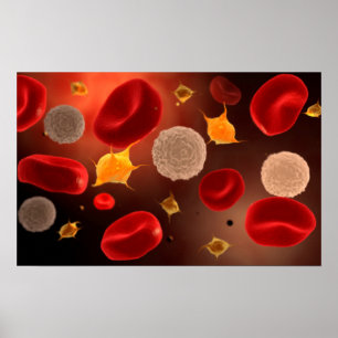 Póster Plaquetas Con Glóbulos Rojos 2