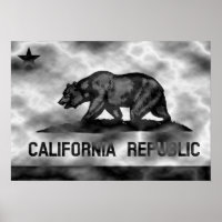 Plasma de bandera de California