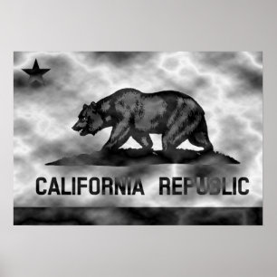 Póster Plasma de bandera de California